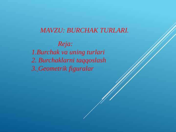 Burchak turlari.