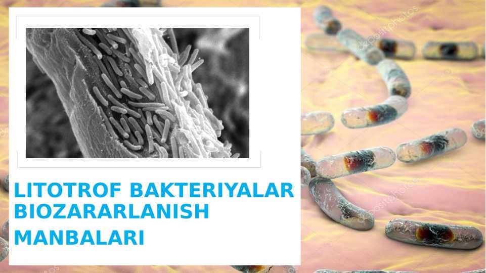 LITOTROF BAKTERIYALAR BIOZARARLANISH