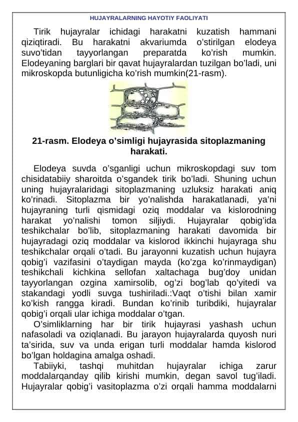 HUJAYRALARNING HAYOTIY FAOLIYATI