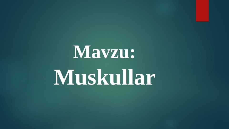 Muskullar