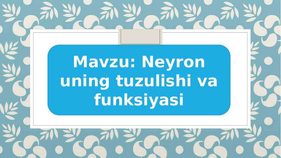 Neyron uning tuzulishi va funksiyasi