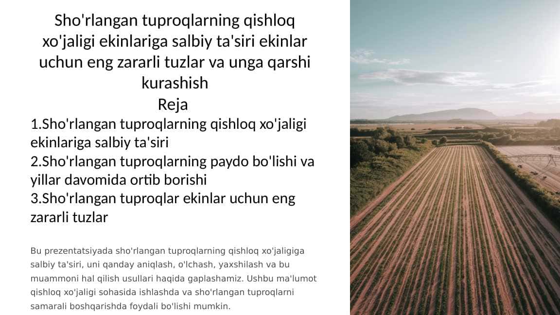 Sho'rlangan tuproqlarning qishloq xo'jaligi ekinlariga salbiy ta'siri ekinlar uchun eng zararli tuzlar va unga qarshi kurashish