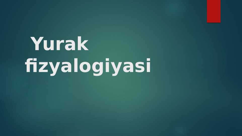 Yurak fiziologiyasi