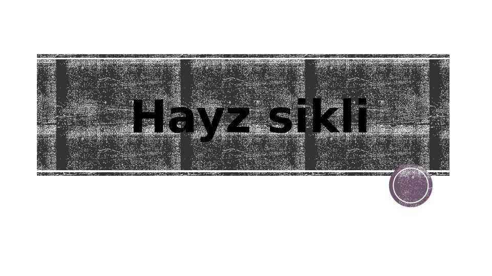 Hayz sikli