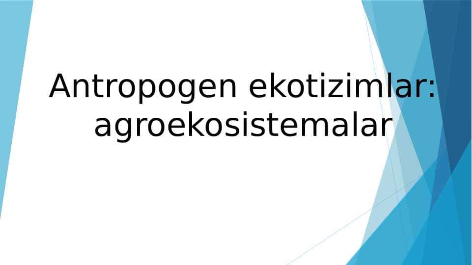 Antropogen ekotizimlar: Agroekosistemalar