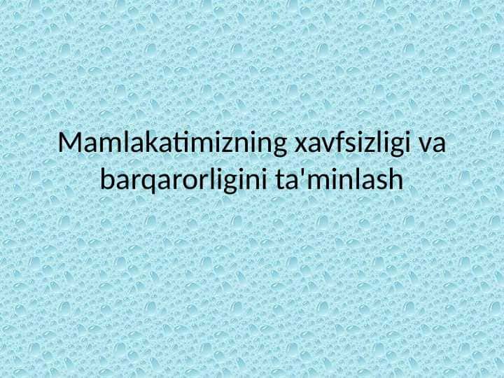 Mamlakatimizning xavfsizligi va barqarorligini ta'minlash