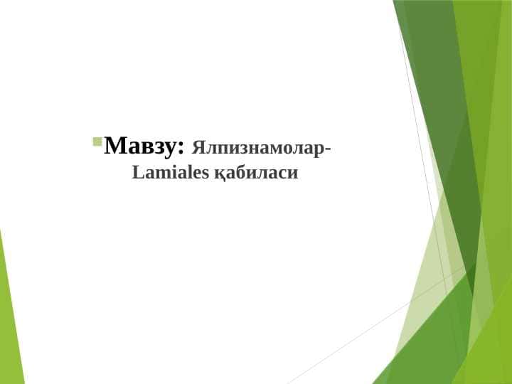 Ялпизнамолар-Lamiales қабиласи