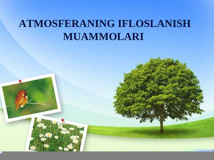 ATMOSFERANING IFLOSLANISH MUAMMOLARI
