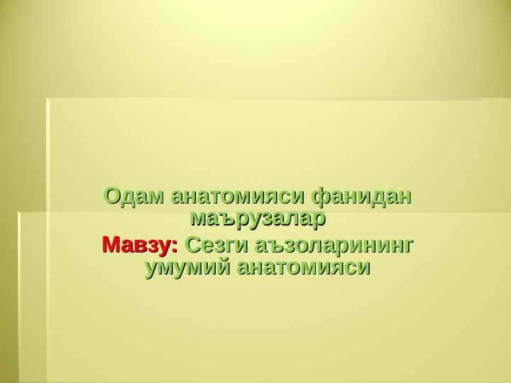 Sezgi a'zolari | Сезги аъзоларининг умумий анатомияси