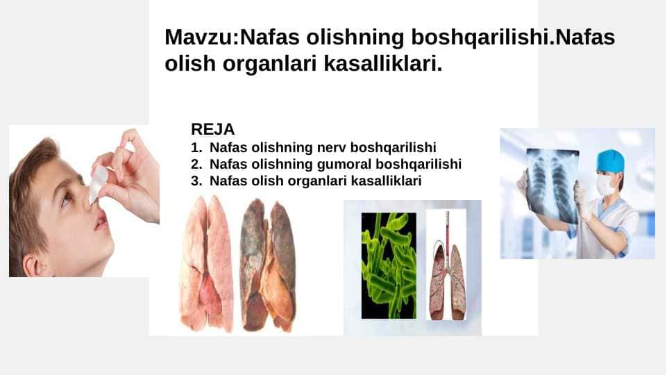 Nafas olishning boshqarilishi.Nafas olish organlari kasalliklari.