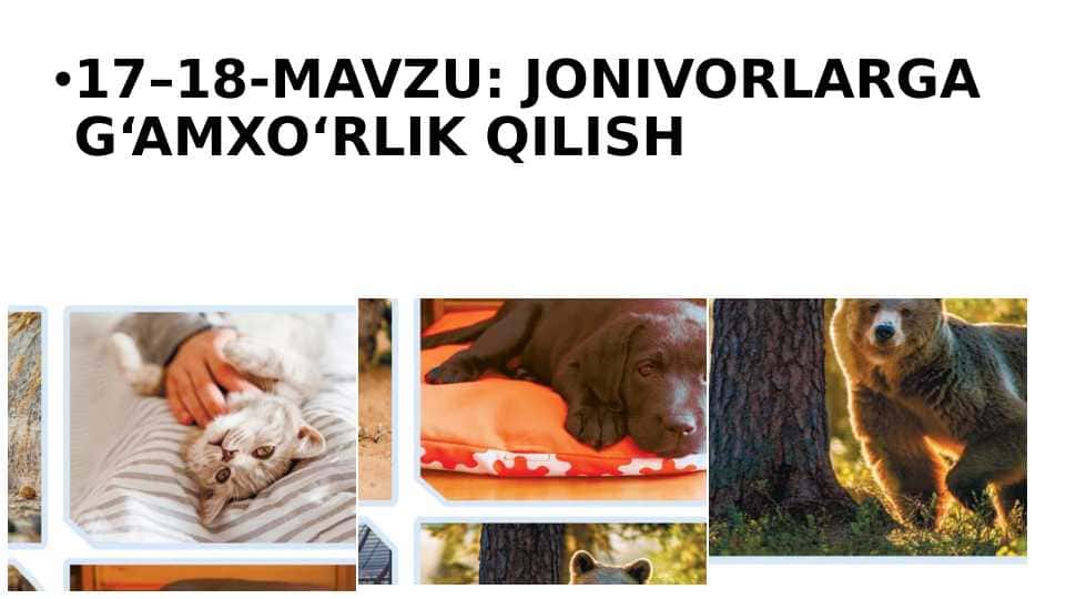 17–18-MAVZU: JONIVORLARGA G‘AMXO‘RLIK QILISH