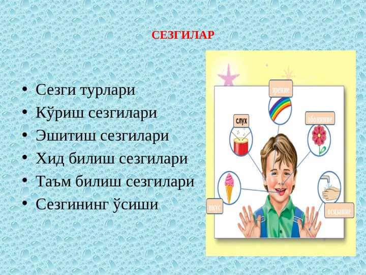 СЕЗГИЛАР