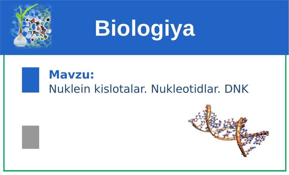 Nuklein kislotalar. Nukleotidlar. DNK