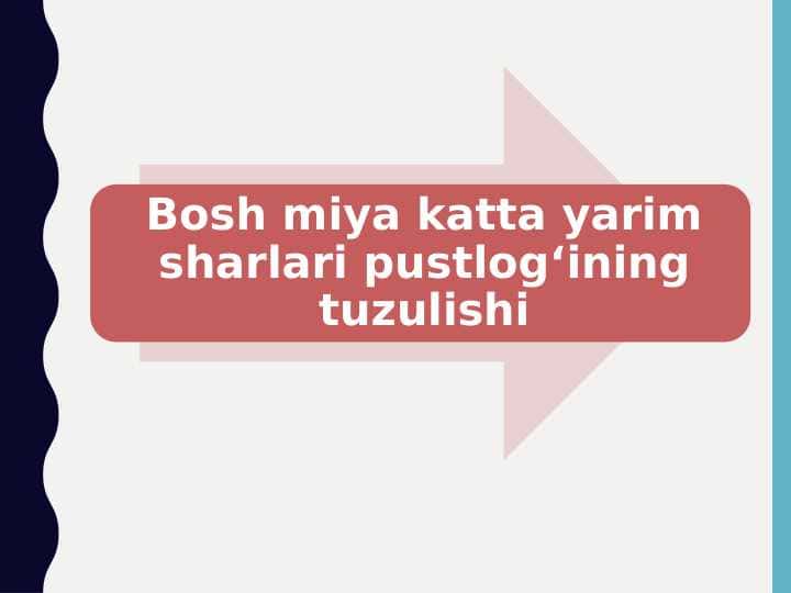 Bosh miya katta yarim sharlari pustlogʻining tuzulishi