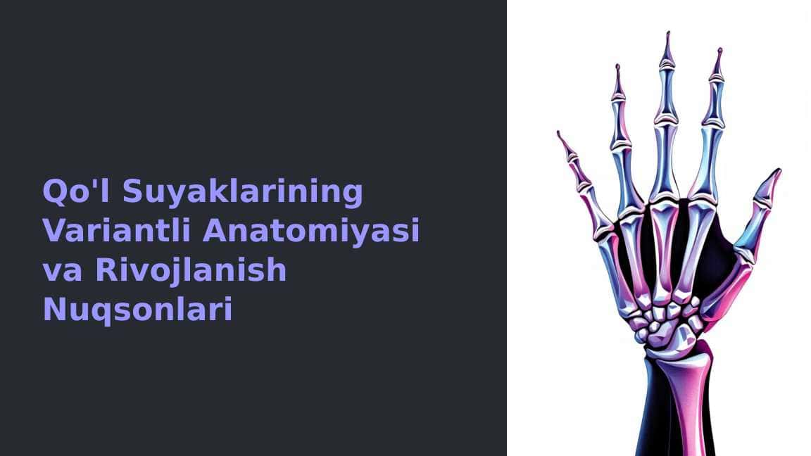 Qo'l Suyaklarining Variantli Anatomiyasi va Rivojlanish Nuqsonlari