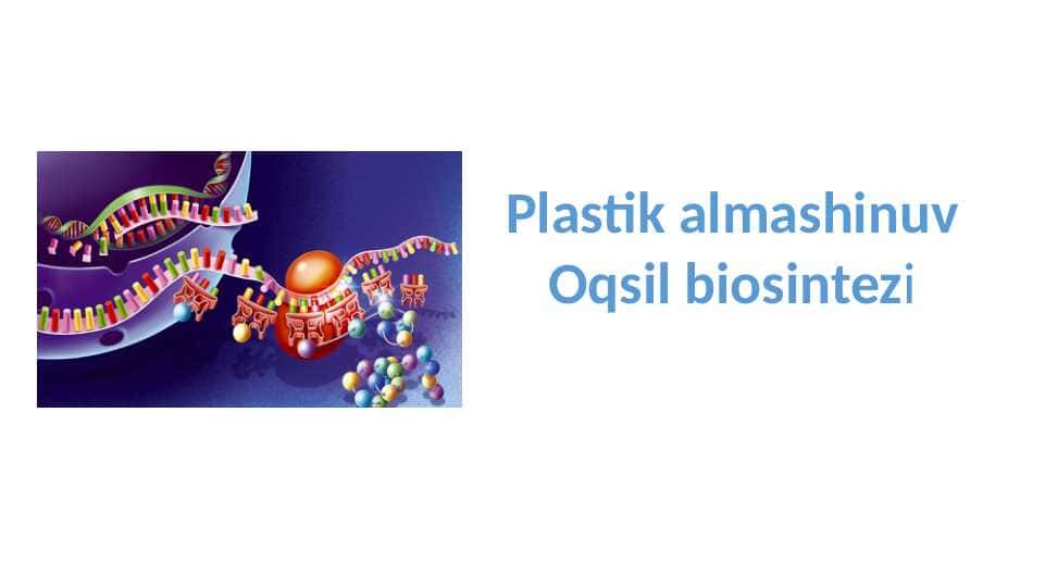 Plastik almashinuv Oqsil biosintezi