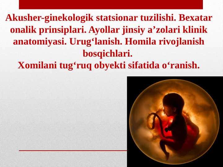 Akusher-ginekologik statsionar tuzilishi. Bexatar onalik prinsiplari. Ayollar jinsiy a’zolari klinik anatomiyasi. Urug‘lanish. Homila rivojlanish bosqichlari