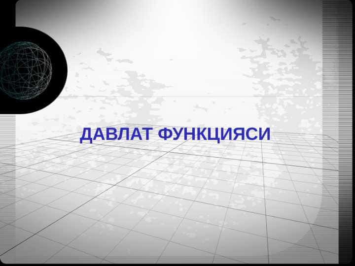 Davlat funksiyasi