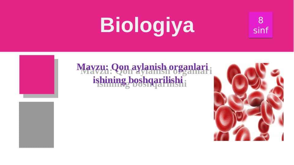 Qon aylanish organlari ishining boshqarilishi