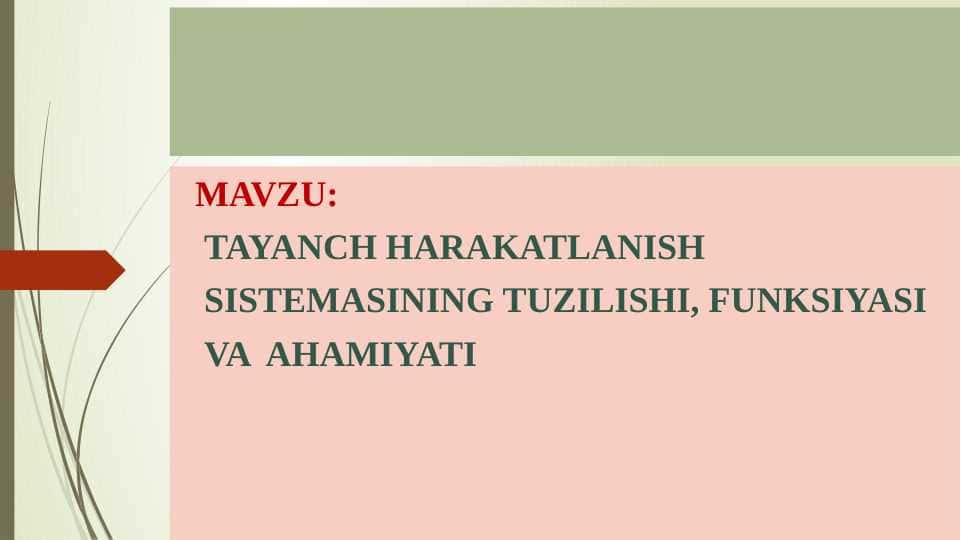 TAYANCH HARAKATLANISH SISTEMASINING TUZILISHI, FUNKSIYASI VA AHAMIYATI