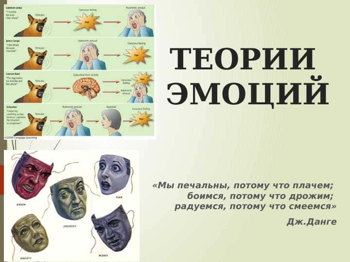 ТЕОРИИ ЭМОЦИЙ