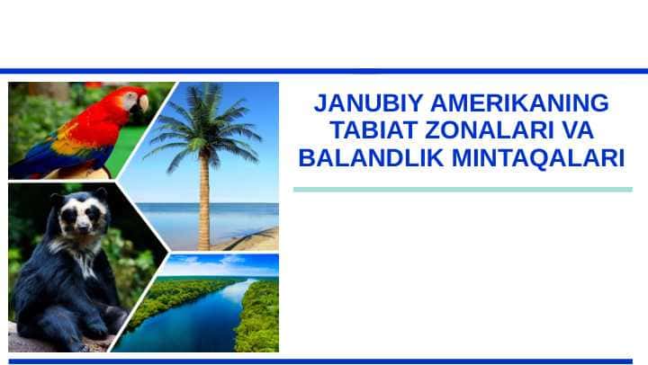 JANUBIY AMERIKANING TABIAT ZONALARI VA BALANDLIK MINTAQALARI