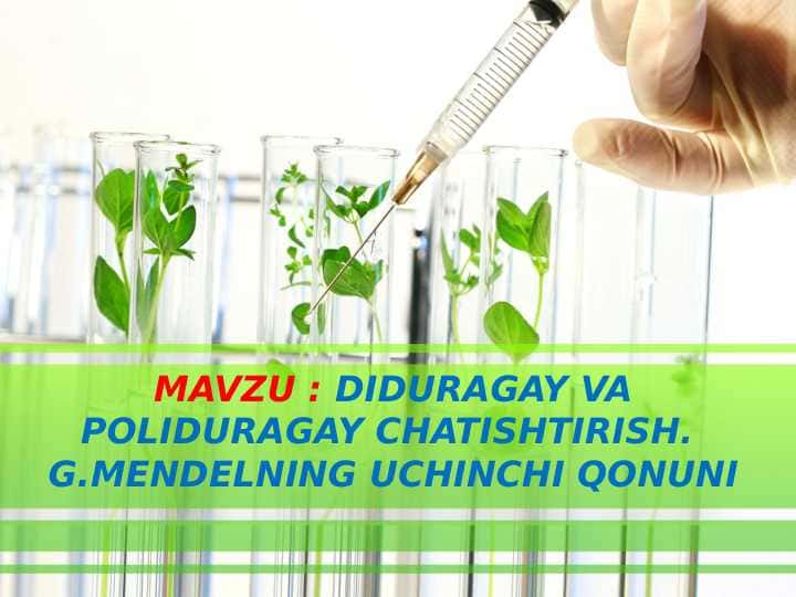 Diduragay va poliduragay chatishtirish. G.Mendelning uchunchi qonuni