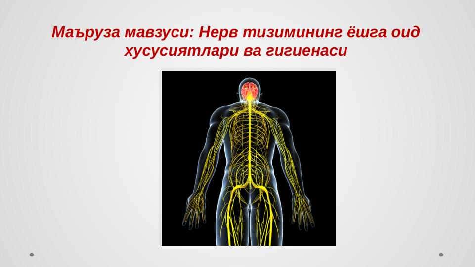 Нерв тизимининг ёшга оид хусусиятлари ва гигиенаси