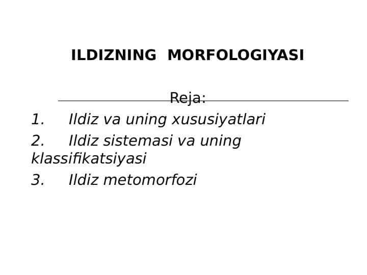 ILDIZNING MORFOLOGIYASI