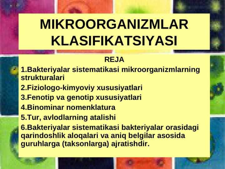 MIKROORGANIZMLAR KLASIFIKATSIYASI