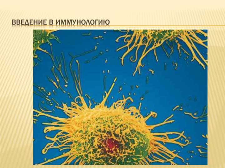 Введение в иммунологию