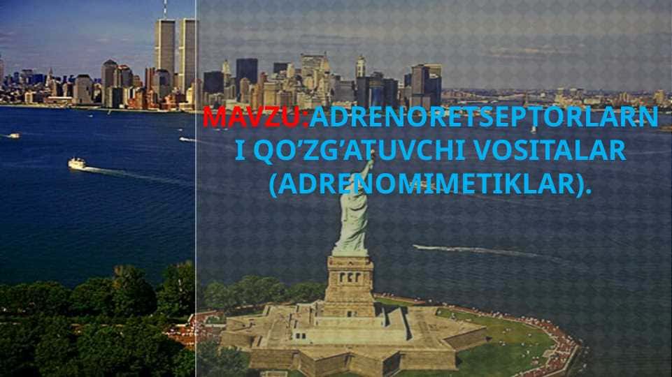 ADRENORESEPTORLARNI FALAJLOVCHI VOSITALAR