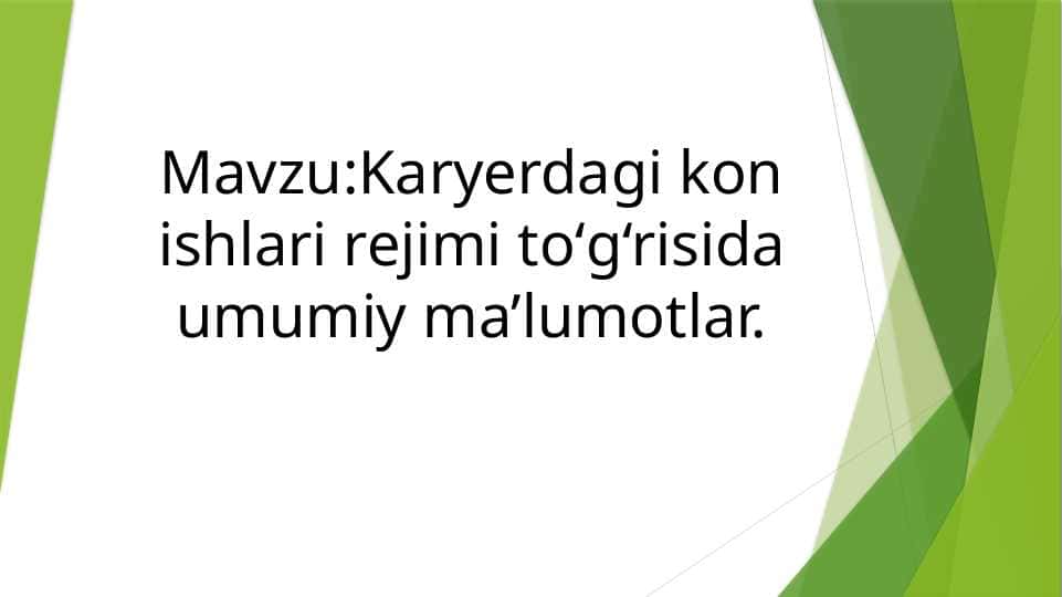 Karyerdagi kon ishlari to'grisida umumiy malumot
