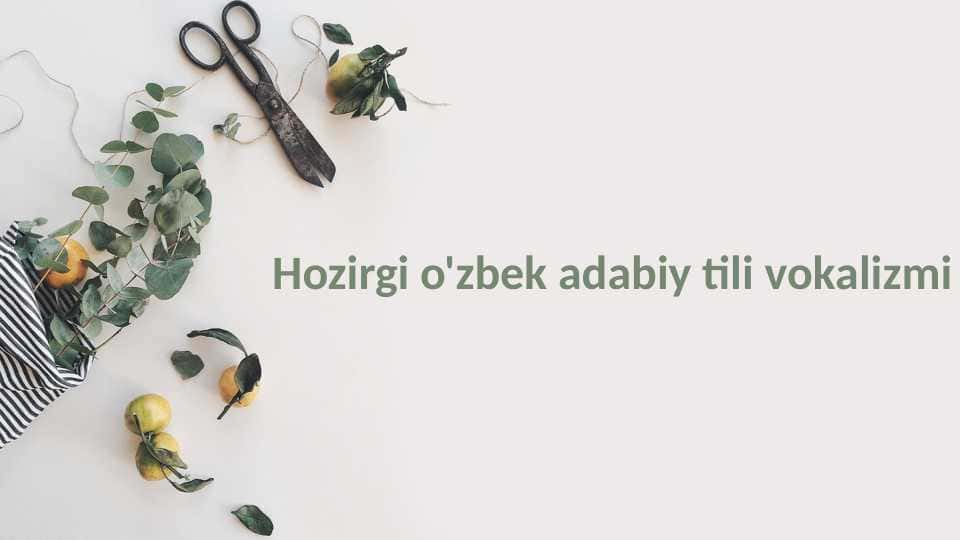 Hozirgi o'zbek adabiy tili vokalizmi