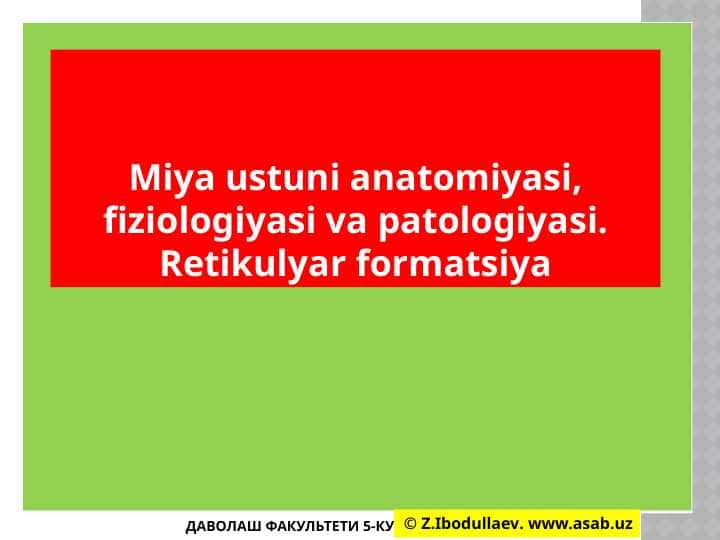 Miya ustuni anatomiyasi, fiziologiyasi va patologiyasi. Retikulyar formatsiya