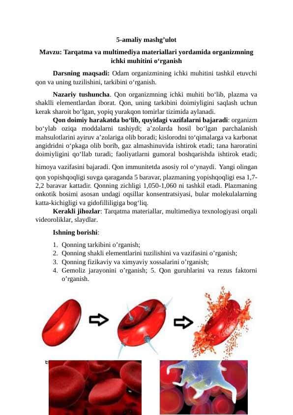 Tarqatma va multimediya materiallari yordamida organizmning ichki muhitini o‘rganish
