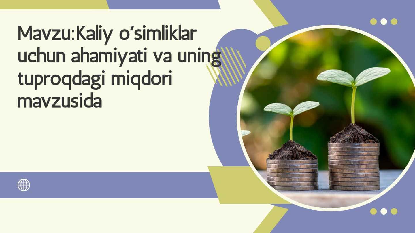 Kaliy oʻsimliklar uchun ahamiyati va uning tuproqdagi miqdori mavzusida