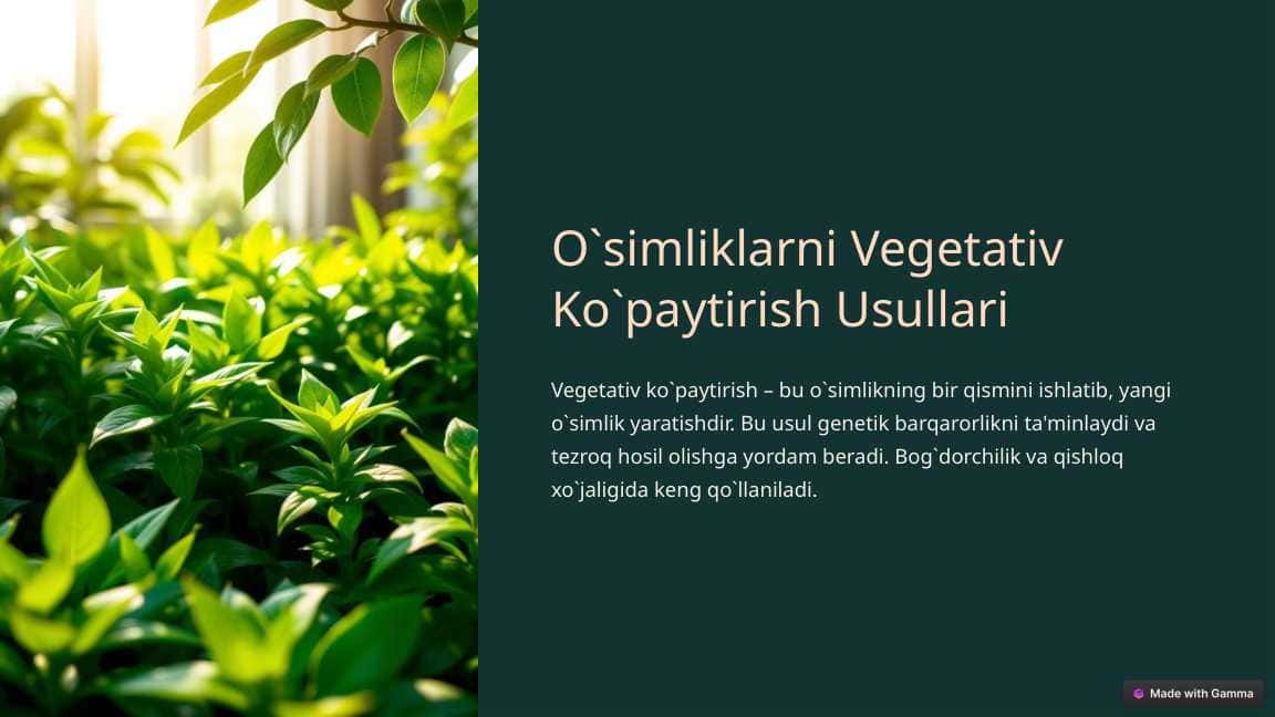 12-amaliy Osimliklarni-Vegetativ-Kopaytirish-Usullari