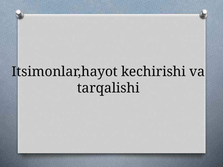 Itsimonlar,hayot kechirishi va tarqalishi