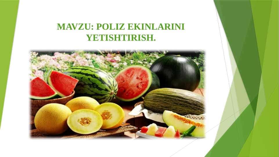 Poliz ekinlarini yetishtirish