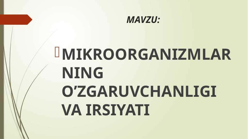 mikroorganizmlarning o’zgaruvchanligi va irsiyati