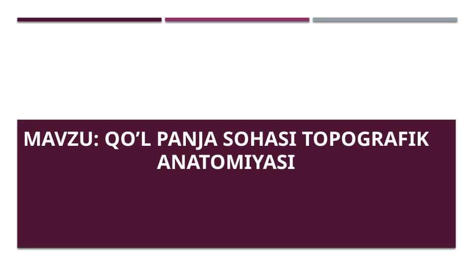 Qo’l panja sohasi topografik anatomiyasi