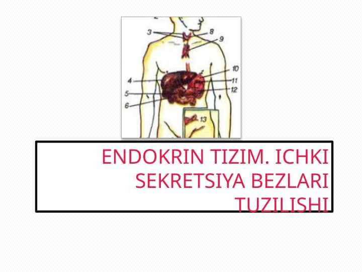 Ichki sekretsiya bezlari