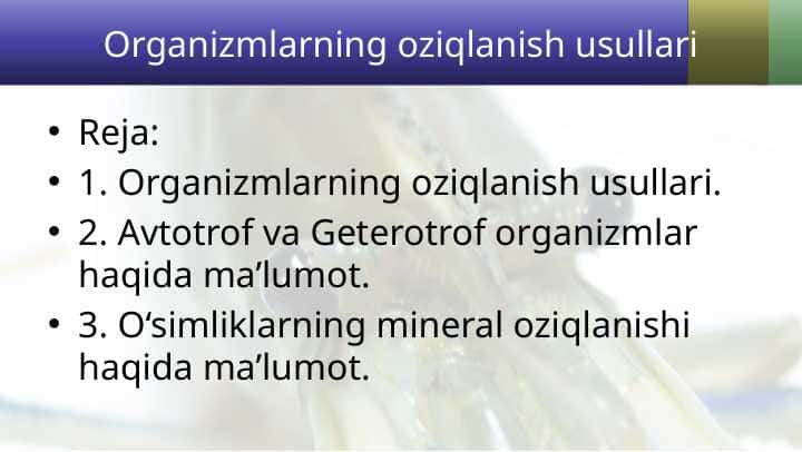 Organizmlarning oziqlanish usullari