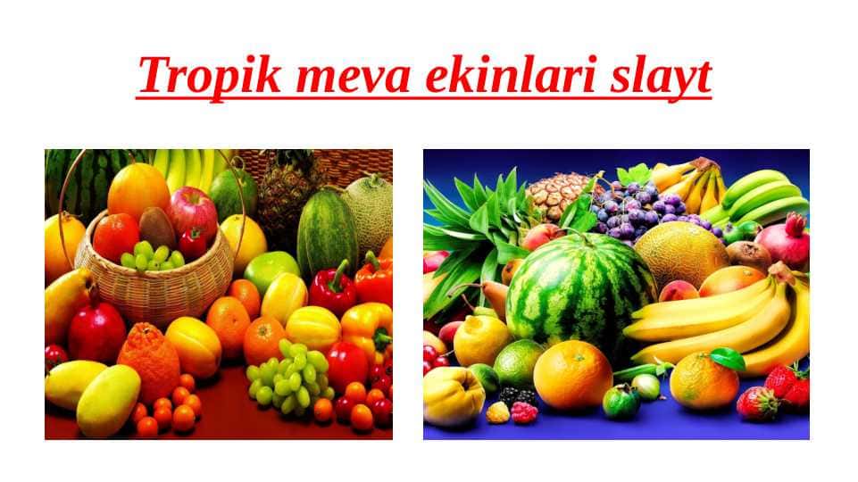 Tropik meva ekinlari slayt