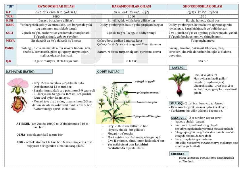 Biologiya oilalardan super qoʻllanma