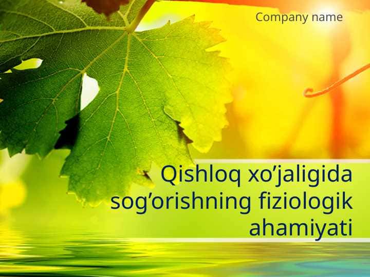 Qishloq xo’jaligida sog’orishning fiziologik ahamiyati