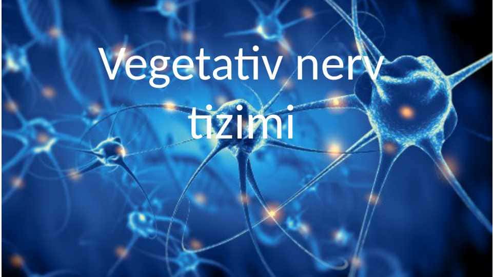 Vegetativ nerv tizimi