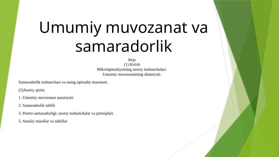Umumiy muvozanat va samaradorlik