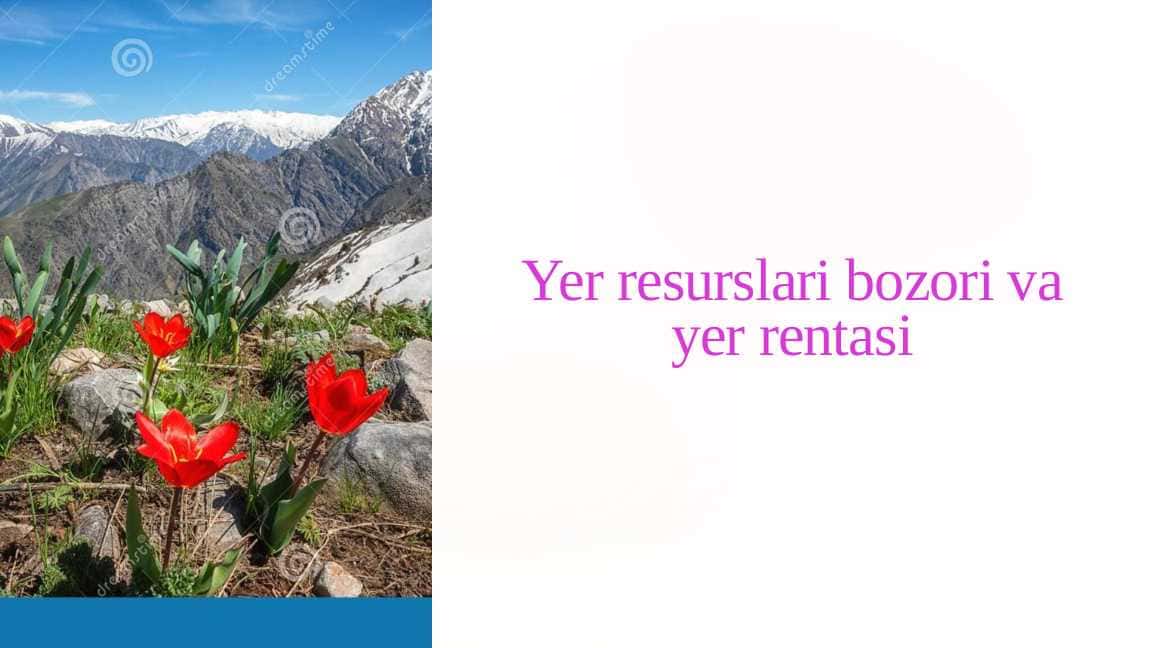 Yer resurslari bozori va yer rentasi
